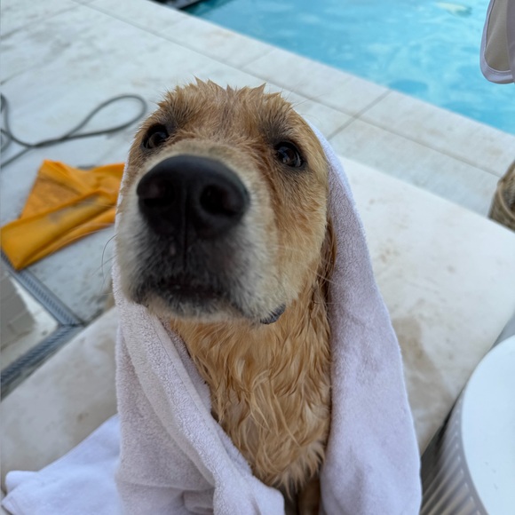 shelleydrummond